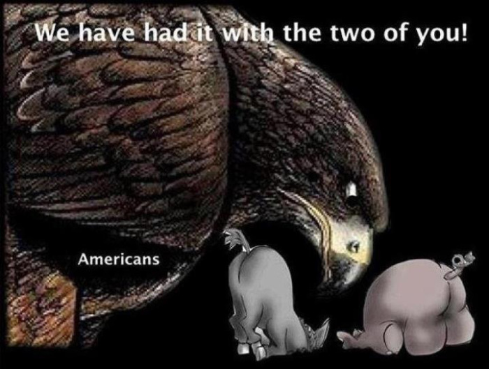 http://romanticpoet.wordpress.com/2013/03/27/victims-of-government-intrusion-meet-the-illinois-man-who-has-been-fighting-washington-bureaucracy-for-nearly-25-years/american-eagle-with-donkey-and-elephant-head-in-sand/